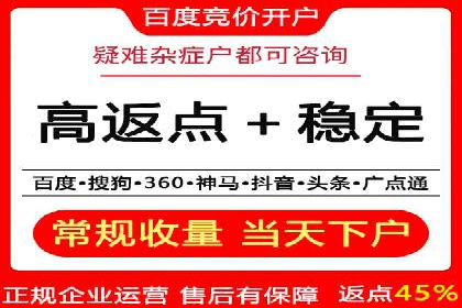 成功SEM托管案例解析